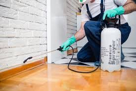 Best Residential Pest Control  in Springtown, TX